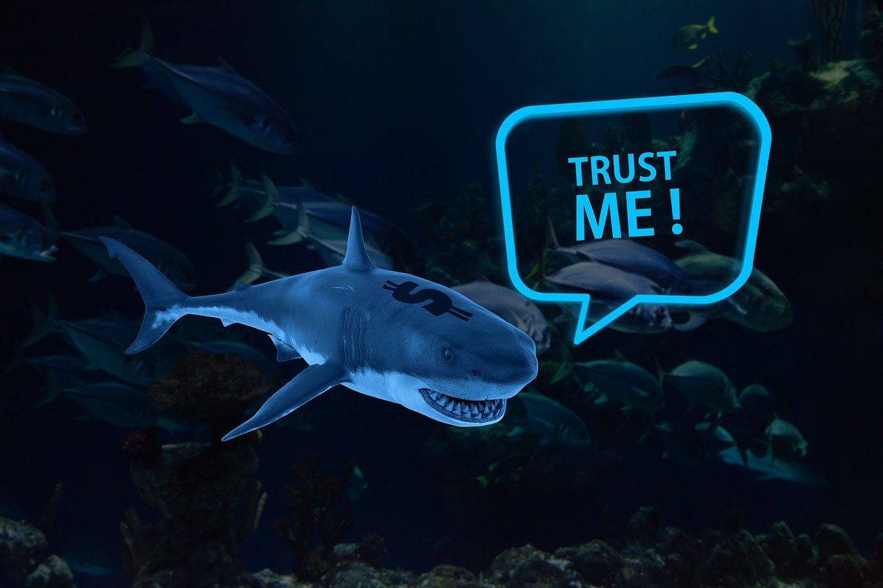 shark, dollar, trust me, message, marine, credit, business, debts, loan shark, loan application, interest charges, finance, kaufmann, advertising, financing, payment in instalments, rates, crime, usury, prices, debt collection, creditworthiness, customers, creditor, jurisdiction, trust me, trust me, trust me, trust me, loan shark, loan shark, loan shark, loan shark, loan shark, debt collection